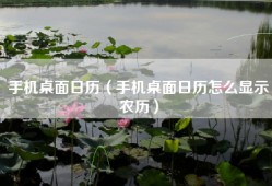 手机桌面日历（手机桌面日历怎么显示农历）