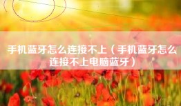 手机蓝牙怎么连接不上（手机蓝牙怎么连接不上电脑蓝牙）