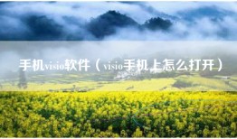 手机visio软件（visio手机上怎么打开）