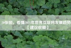 20张图，看懂2021年世界互联网发展趋势【建议收藏】