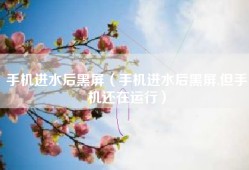 手机进水后黑屏（手机进水后黑屏,但手机还在运行）