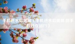 手机进水后黑屏（手机进水后黑屏,但手机还在运行）