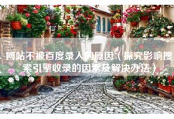 网站不被百度录入的原因（探究影响搜索引擎收录的因素及解决办法）