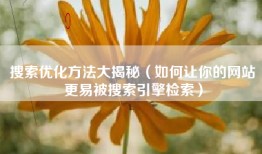 搜索优化方法大揭秘（如何让你的网站更易被搜索引擎检索）