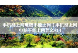 手机能上网电脑不能上网（手机能上网电脑不能上网怎么办）