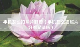手机怎么拍照片好看（手机怎么拍照片好看又清晰）