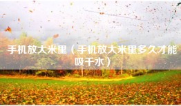手机放大米里（手机放大米里多久才能吸干水）