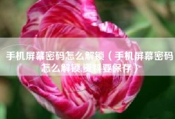 手机屏幕密码怎么解锁（手机屏幕密码怎么解锁,资料要保存）