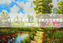 oppo手机内存清理（oppo手机内存清理最简单方法）