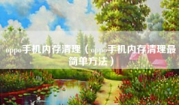 oppo手机内存清理(oppo手机内存清理最简单方法)