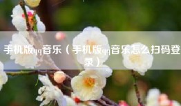 手机版qq音乐（手机版qq音乐怎么扫码登录）