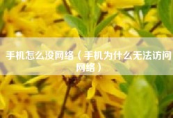 手机怎么没网络（手机为什么无法访问网络）