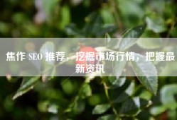 焦作 SEO 推荐，挖掘市场行情，把握最新资讯