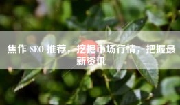 焦作 SEO 推荐，挖掘市场行情，把握最新资讯