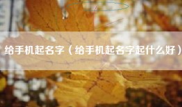 给手机起名字（给手机起名字起什么好）