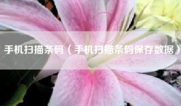 手机扫描条码（手机扫描条码保存数据）