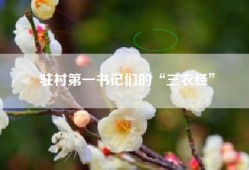 驻村第一书记们的“三农经”