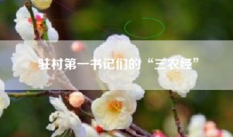驻村第一书记们的“三农经”