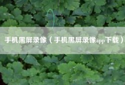 手机黑屏录像（手机黑屏录像app下载）