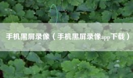 手机黑屏录像（手机黑屏录像app下载）