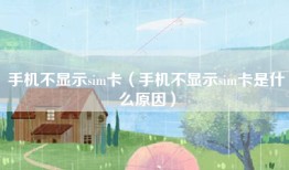 手机不显示sim卡(手机不显示sim卡是什么原因)