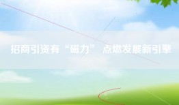 招商引资有“磁力” 点燃发展新引擎