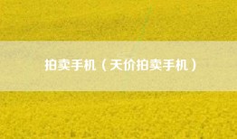 拍卖手机（天价拍卖手机）