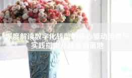深度解读数字化转型的核心驱动因素与实践指南从战略到落地