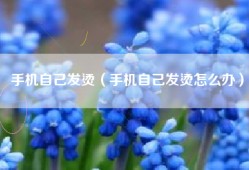 手机自己发烫（手机自己发烫怎么办）