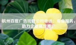 杭州百度广告托管公司电话：专业服务，助力企业高效推广