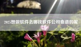 2025想做软件去哪找软件公司靠谱的呢