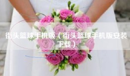 街头篮球手机版（街头篮球手机版安装下载）