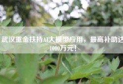 武汉重金扶持AI大模型应用，最高补助达1000万元！