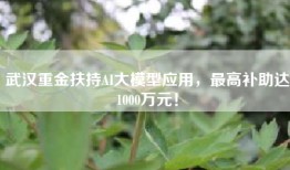 武汉重金扶持AI大模型应用，最高补助达1000万元！