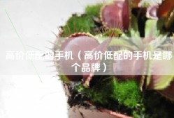 高价低配的手机（高价低配的手机是哪个品牌）
