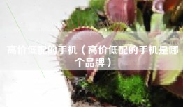 高价低配的手机（高价低配的手机是哪个品牌）