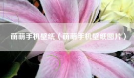 萌萌手机壁纸（萌萌手机壁纸图片）