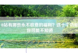 B站有哪些永不收费的福利？这十个功能你可能不知道