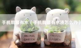 手机屏幕有水（手机屏幕有水渍怎么办）