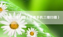 手机三维扫描(苹果手机三维扫描)