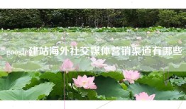 google建站海外社交媒体营销渠道有哪些