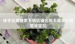 快手位置搜索不到店铺名称不显示公司地址定位