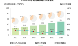 解析：什么是数字化转型