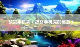 故宫手机壳（故宫手机壳的寓意）