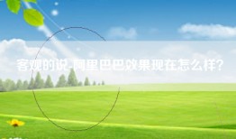 客观的说-阿里巴巴效果现在怎么样？