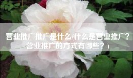 营业推广推广是什么(什么是营业推广？营业推广的方式有哪些？)