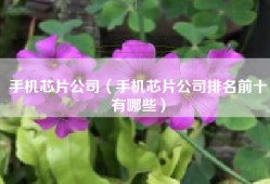 手机芯片公司（手机芯片公司排名前十有哪些）