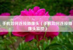 手机如何连接摄像头（手机如何连接摄像头监控）