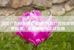 百度广告投放收费标准_百度广告投放收费标准，全面解析与实战指南