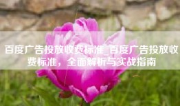 百度广告投放收费标准_百度广告投放收费标准，全面解析与实战指南